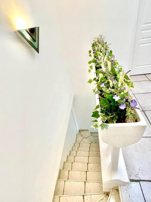Charmante Villa Pour 10 Personnes Saint-Augustin  Exterior foto